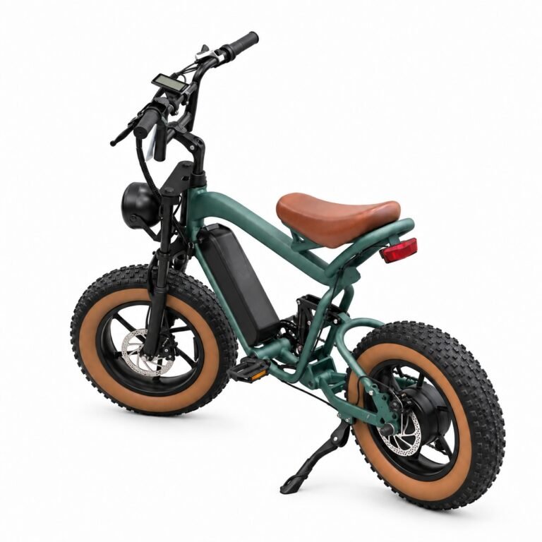 FALCON ZR-CP022 Mini electric bike