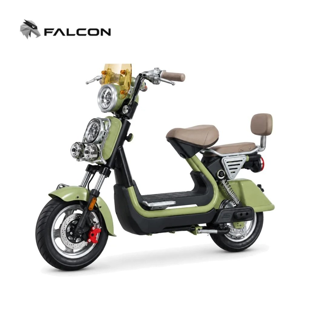 1000W Urban Electric Scooter with 60V 20Ah Lithium Battery & 70 km Range-ZR-CP008