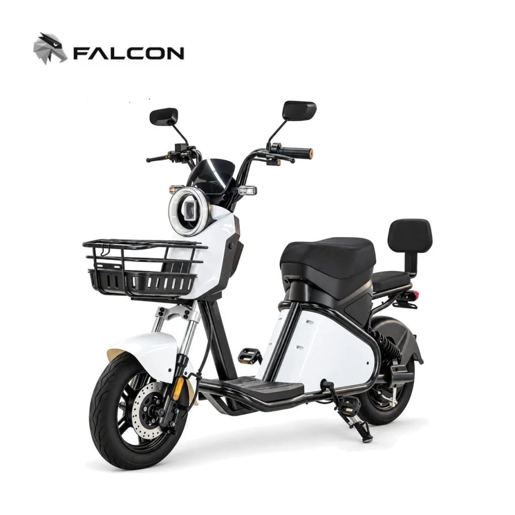 800W Urban Electric Scooter with 48V 20Ah Lithium Battery & 60 km Range-ZR-CP006 — view 1