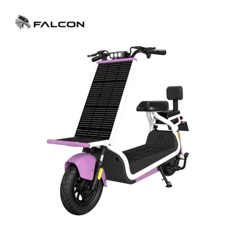 FALCON ZR-SS004 500 W electric scooter